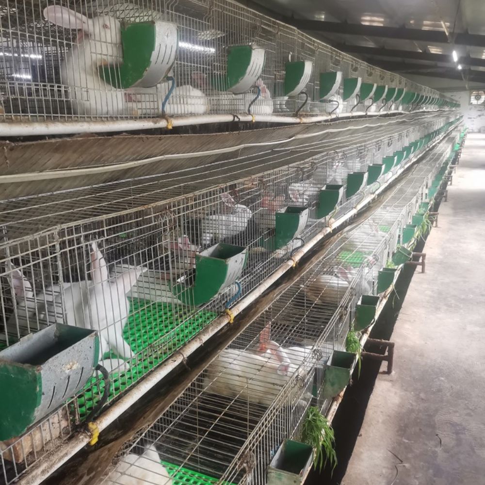 菏泽市地利牧业科技有限公司养殖兔子，生产兔皮大衣，还有兔肉食品一体化企业，欢迎大家来场考察